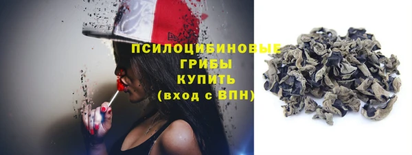 эйфоретик Бородино