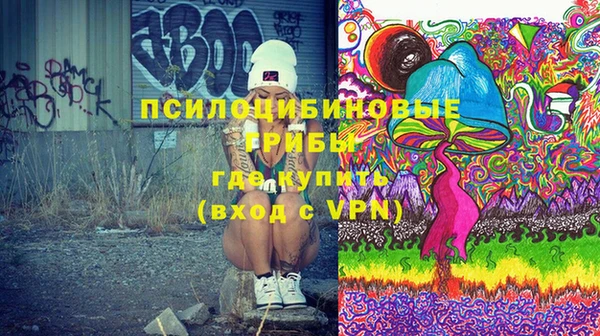 гидра Сосновый Бор