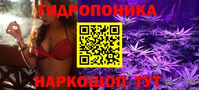 каннабис Славгород