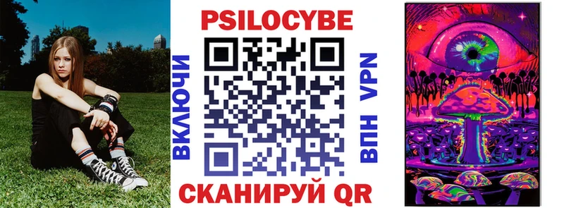 blacksprut вход  Мончегорск  Галлюциногенные грибы Cubensis 